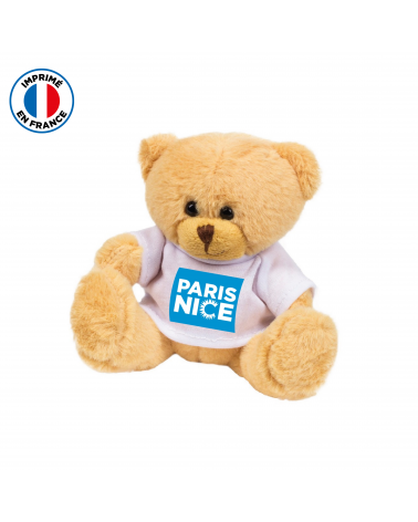 Teddy Bear Paris Nice Ourson