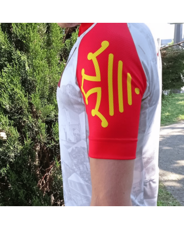 Maillot Cyclisme Mstina La Route d'Occitanie La Dépêche du Midi "Romègue Pas et Pasa Davant "