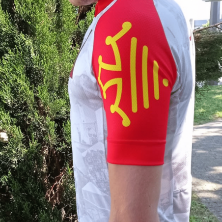 Maillot Cyclisme Mstina La Route d'Occitanie La Dépêche du Midi "Romègue Pas et Pasa Davant "