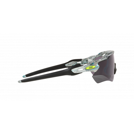 Lunette Cyclisme Radar Ev Path Sanctuary Swirl