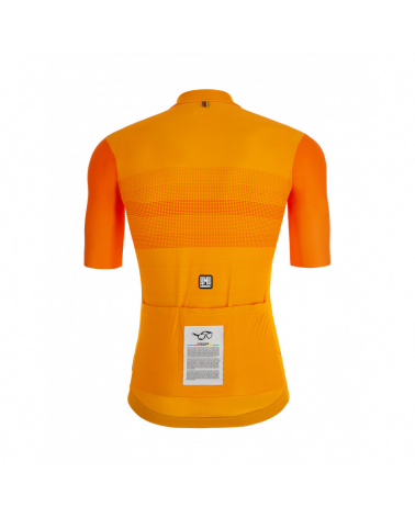 Maillot Grands Champions UCI - Jan Jannsen, Sallanches 1964